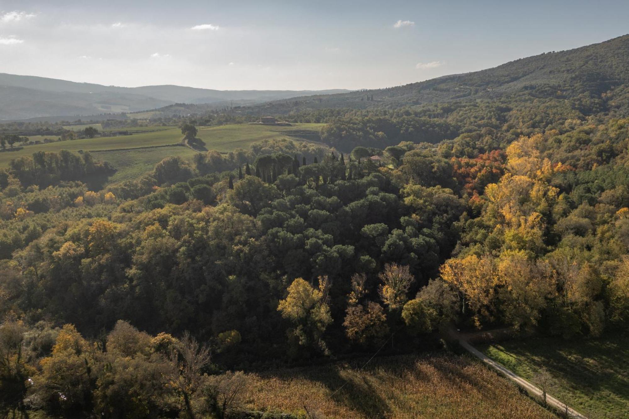 Tenuta Di Caiolo パニカーレ エクステリア 写真